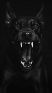 Black Dog iPhone Wallpaper HD