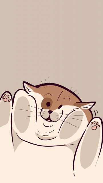 Fluffy Cat iPhone Wallpaper HD