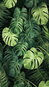 Green Plants Foliage iPhone Wallpaper HD