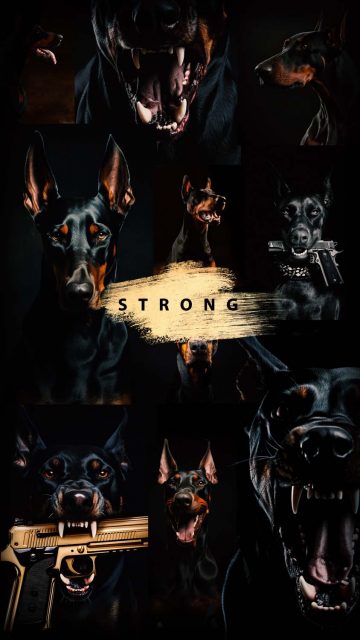 Stay Strong iPhone Wallpaper HD