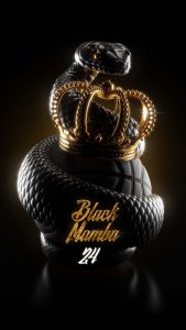 Black Mamba Snake iPhone Wallpaper HD