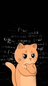 Physics Cat iPhone Wallpaper HD