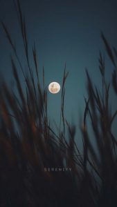 Serenity iPhone Wallpaper HD