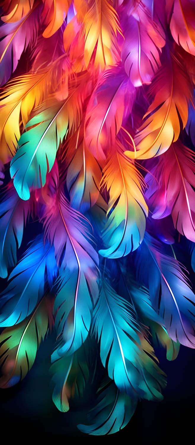 Colorful Feathers