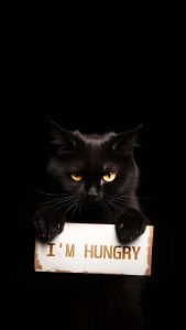 I am Hungry