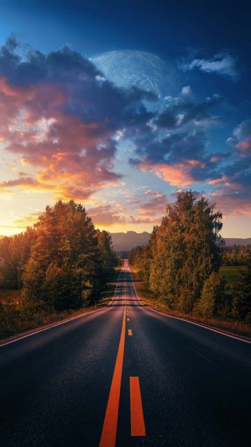 Road Landscape Nature