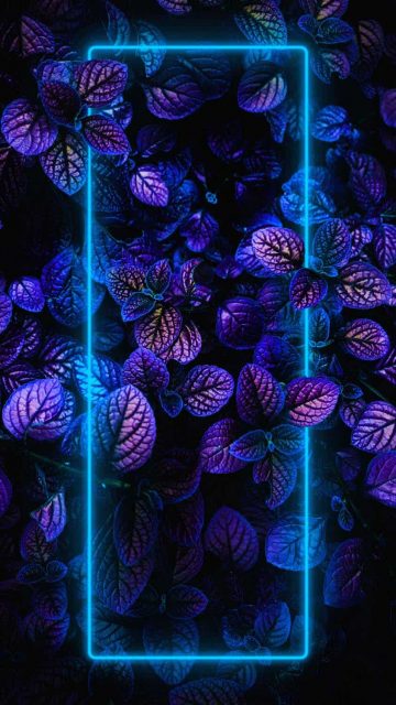 Blue Neon Nature Foliage