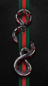 Gucci Snake