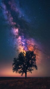 Milky Way Tree