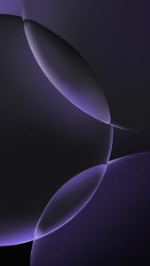 iPhone 16 Pro Circles Purple Wallpaper