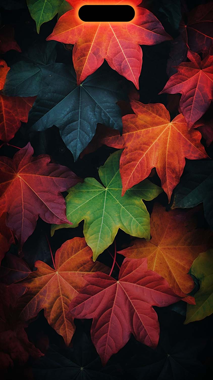 iPhone Dynamic Island Autumn Wallpaper