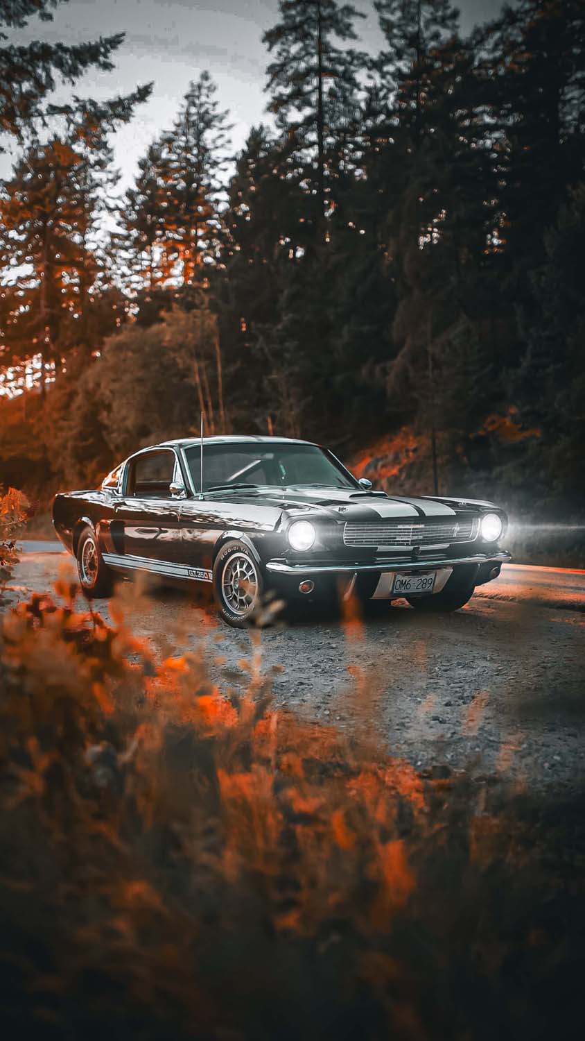 Mustang 69 Wallpaper