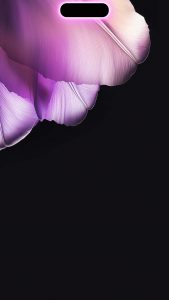 iPhone 16 Pro Max Dynamic Island Flower Wallpaper