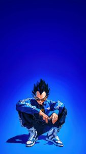 vegeta x adidas