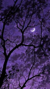 Moon Light Tree Wallpaper