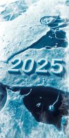 2025 Frozen New Year