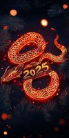 2025 New Year