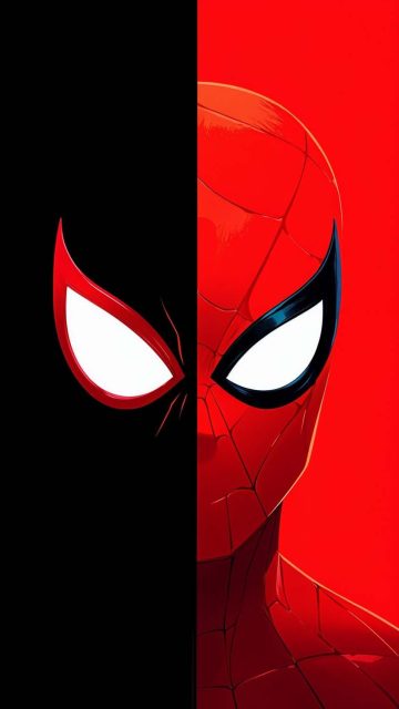 Spiderman Duo Wallpaper