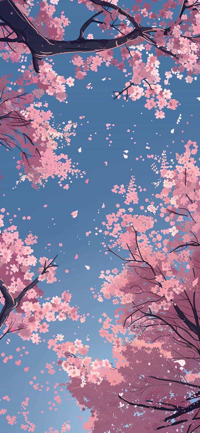 Cherry Blossom Background iPhone Wallpaper