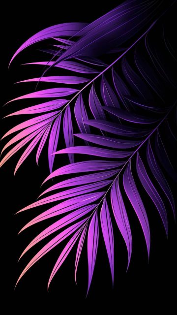 OLED Black Plant Leaves iPhone Wallpaper