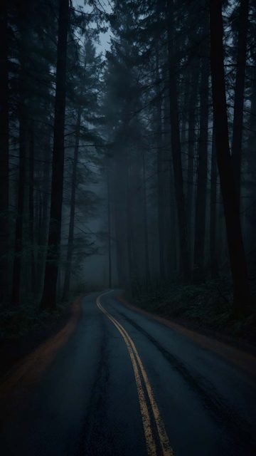 Dark Forest Road iPhone Wallpaper