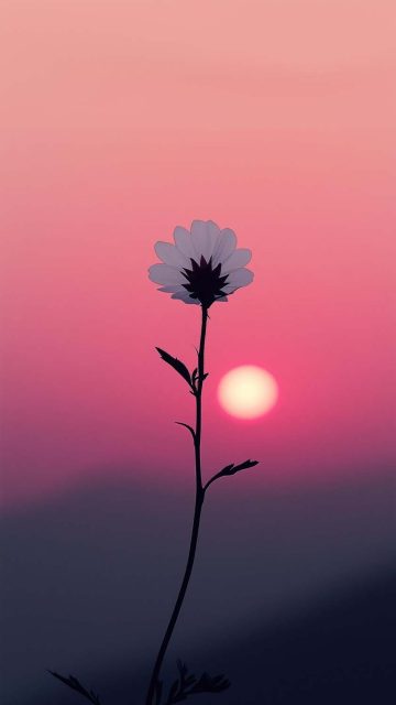 Flower Plant Sunrise iPhone Wallpaper