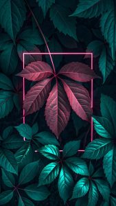 Foliage Plants Neon iPhone Wallpaper