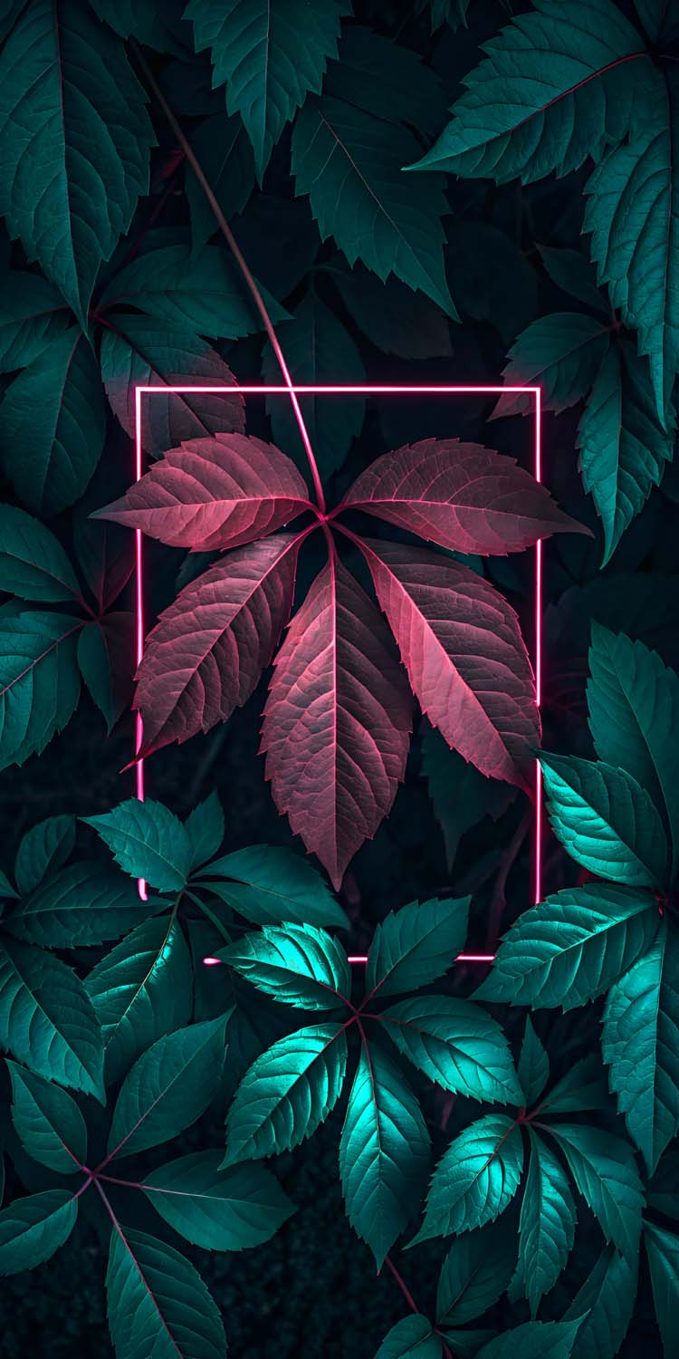 Foliage Plants Neon iPhone Wallpaper