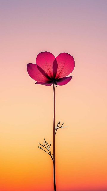 Red Flowers iPhone Wallpaper