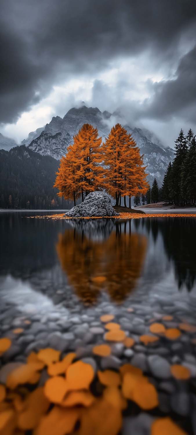 Autumn Lake Tree Reflection iPhone Wallpaper