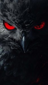 Black Owl iPhone Wallpaper