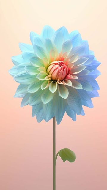 Flower Blooming iPhone Wallpaper