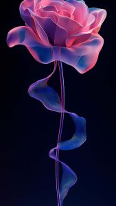 Rose Abstract iPhone Wallpaper