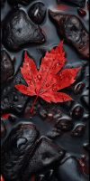 Maple Tree Leaves Autumn iPhone Wallpaper
