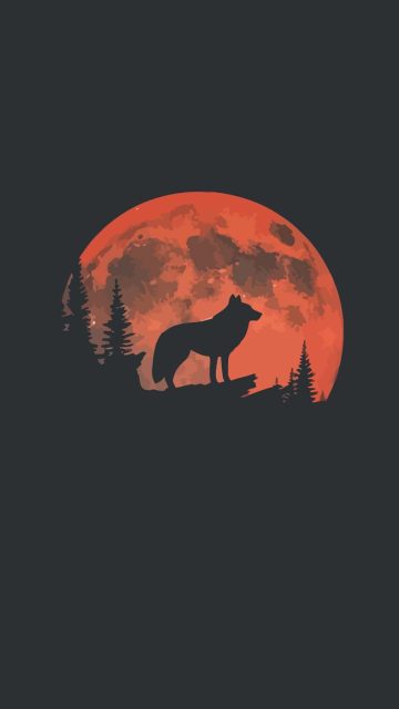Night Wolf iPhone Wallpaper