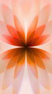 iPhone 17 Flower Wallpaper 2