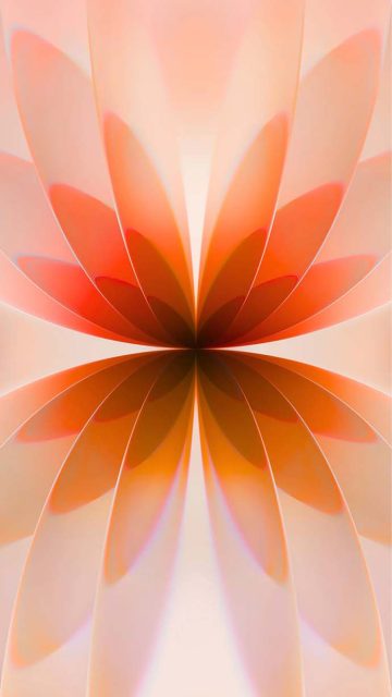 iPhone 17 Flower Wallpaper 2