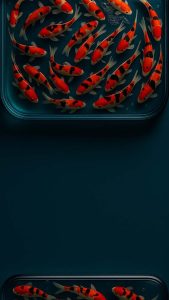 Glass Design Fish iPhone 17 Pro Wallpaper Glass Design Fish iPhone 17 Pro Wallpaper