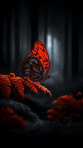 Butterfly Amoled iPhone 17 Pro Wallpaper