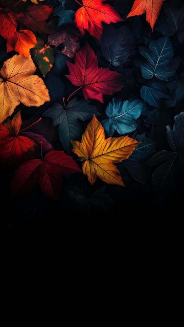 Autumn Dynamic Island iPhone Wallpaper