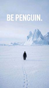 Be That Penguin iPhone Wallpaper 4K Be That Penguin iPhone Wallpaper 4K