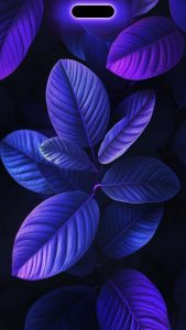 Dynamic Island Foliage iPhone Wallpaper