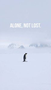 Nihilist Penguin Alone Not Lost iPhone Wallpaper 4K Nihilist Penguin Alone Not Lost iPhone Wallpaper 4K