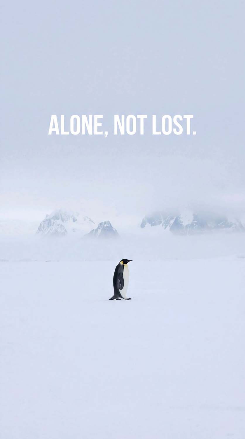 Nihilist Penguin Alone Not Lost iPhone Wallpaper 4K
