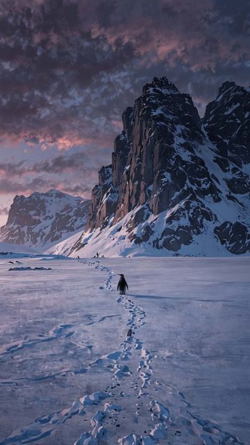 Nihilist Penguin Alone iPhone Wallpaper 4K