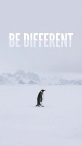 Nihilist Penguin Be Defferent iPhone Wallpaper 4K Nihilist Penguin Be Defferent iPhone Wallpaper 4K