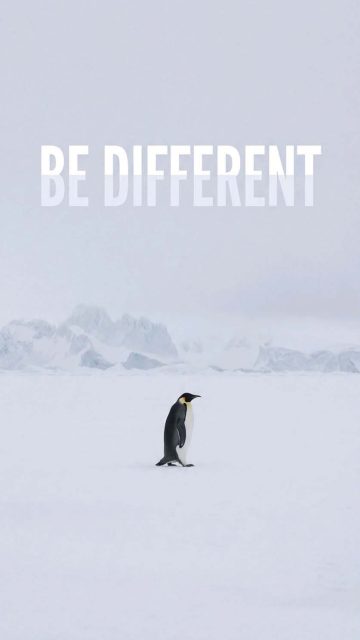 Nihilist Penguin Be Defferent iPhone Wallpaper 4K