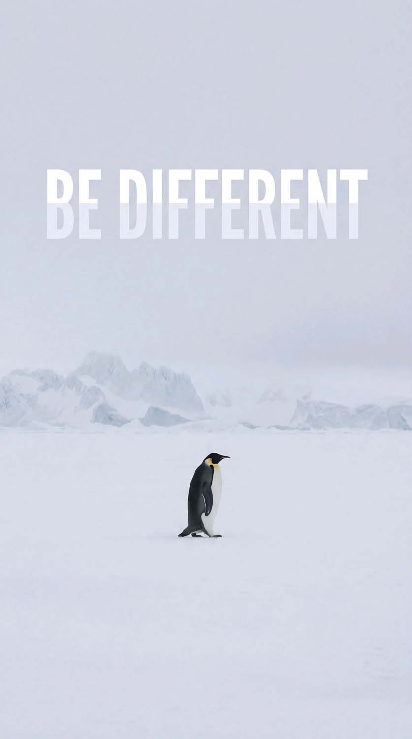 Nihilist Penguin Be Defferent iPhone Wallpaper 4K