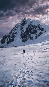 Nihilist Penguin Journey iPhone Wallpaper 4K Nihilist Penguin Journey iPhone Wallpaper 4K