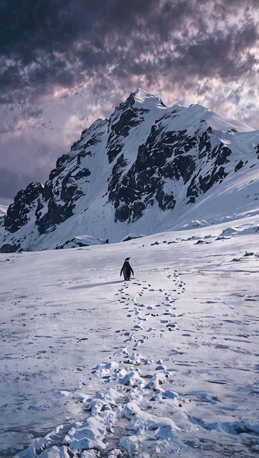 Nihilist Penguin Journey iPhone Wallpaper 4K